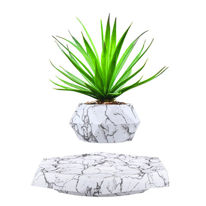 Magnetic Levitating Plant Pot – 360° Floating Planter for Modern Spaces. 5-Day Return.