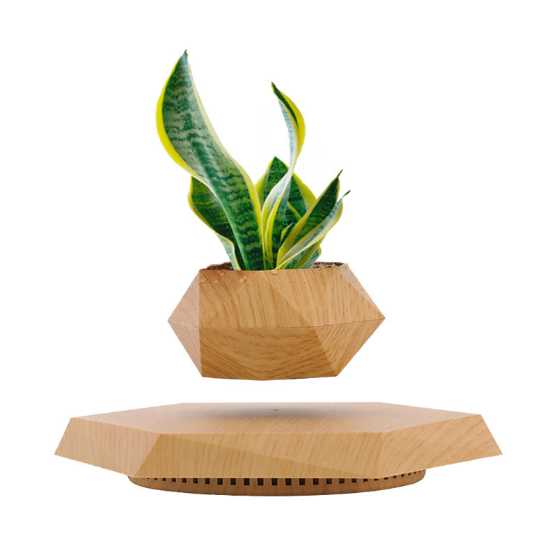 Magnetic Levitating Plant Pot – 360° Floating Planter for Modern Spaces. 5-Day Return.