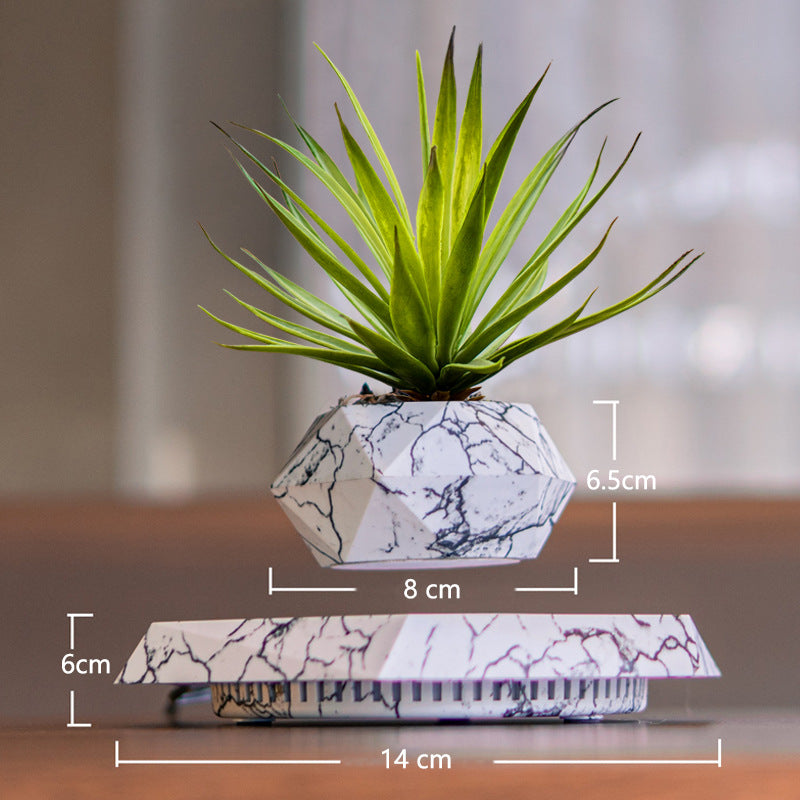 Magnetic Levitating Plant Pot – 360° Floating Planter for Modern Spaces. 5-Day Return.